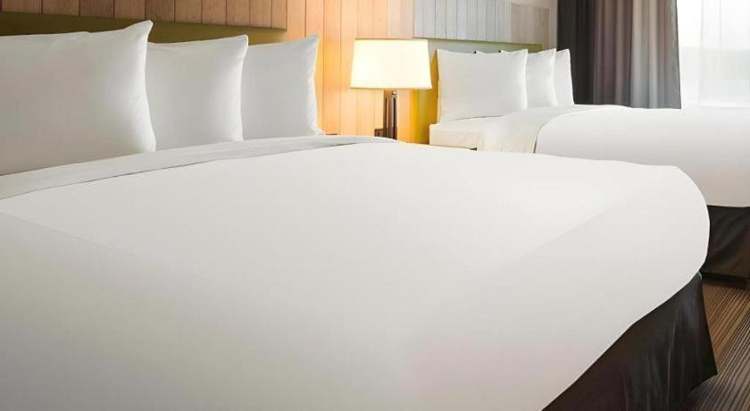 Hotel Country & By Radisson, Dundee, Mi Dundee